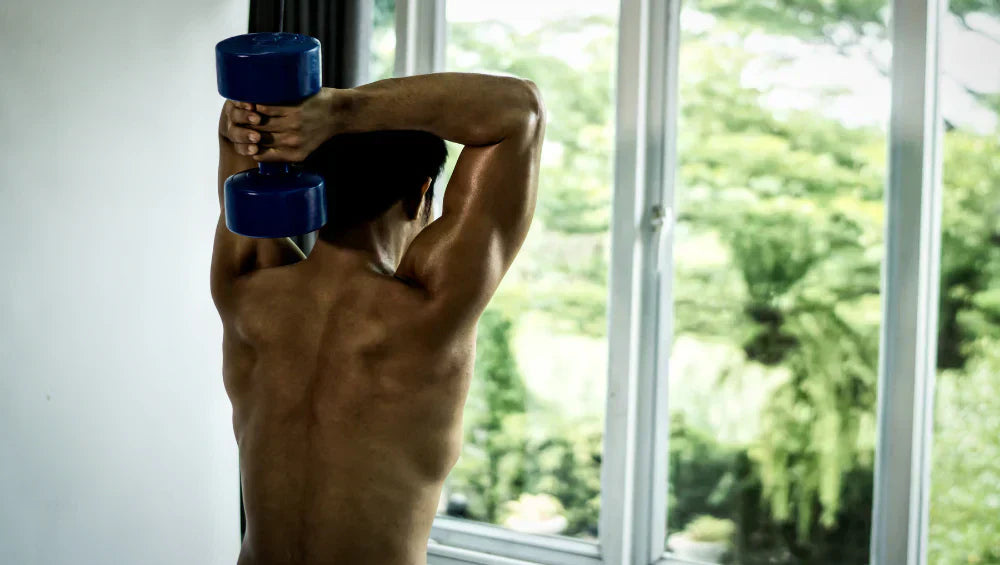 Homme musclé torse nu en train de faire un exercice triceps avec un haltère a la maison devant une fenêtre