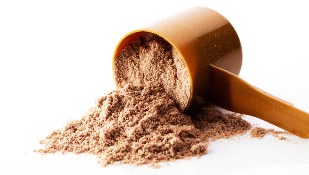 Scoop de protein renversé sur un fond blanc