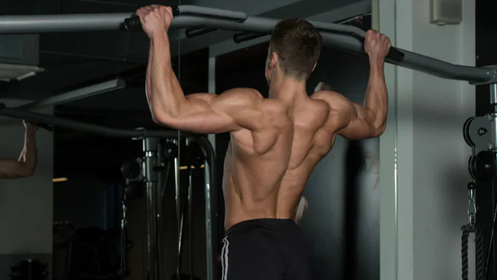 Entraînement au poids de corps : Les meilleurs exercices pour sculpter votre physique