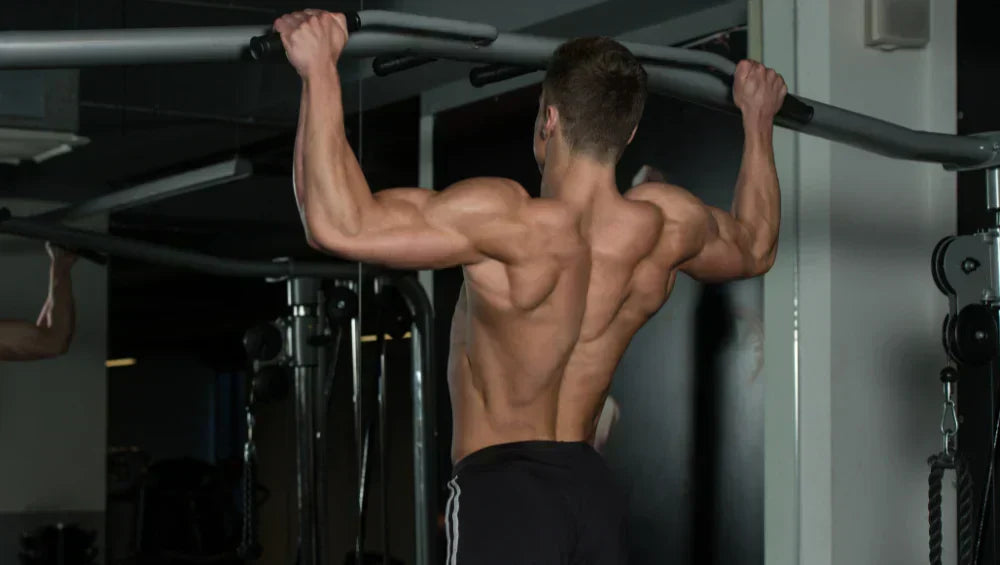 Entraînement au poids de corps : Les meilleurs exercices pour sculpter votre physique
